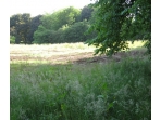 Major Birmingham Cemetery Site Extension Photo 3