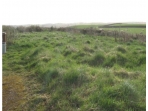 Phase I/II of Potential Former MoD Landfill, Devon Photo 2