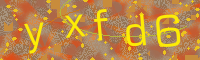 Visual Confirmation Code